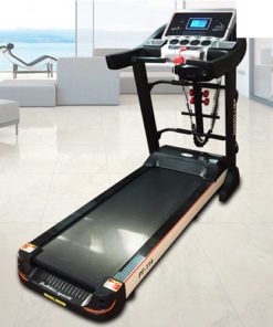 Máy chạy bộ điện Pro Fitness PF-114